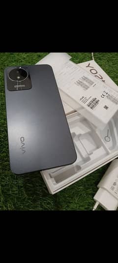 vivo