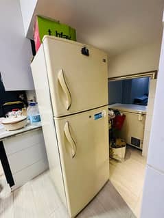 LG large fridge no frost