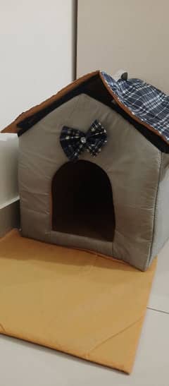 Cat Home