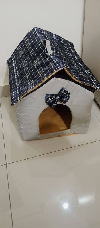 Cat Home 1