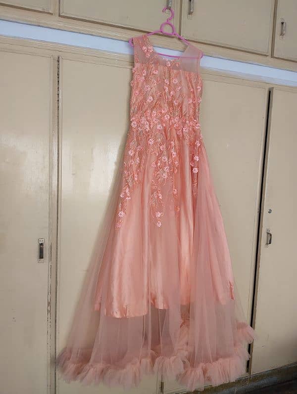 Pink Tail Frock in silk with net Layer 0