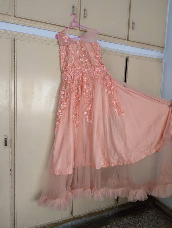 Pink Tail Frock in silk with net Layer 1