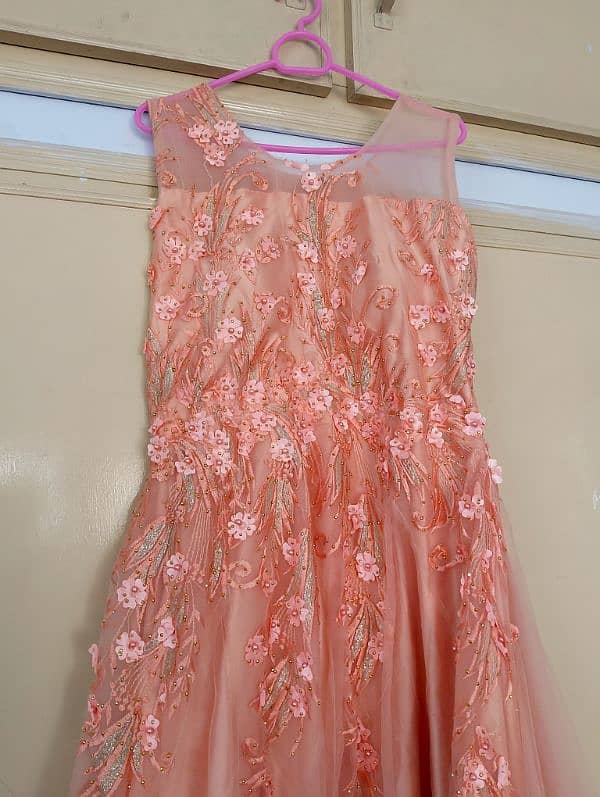 Pink Tail Frock in silk with net Layer 2