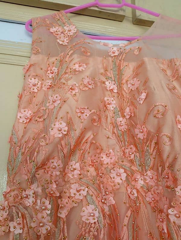 Pink Tail Frock in silk with net Layer 3