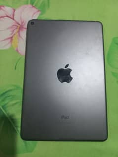 ipad mini 5