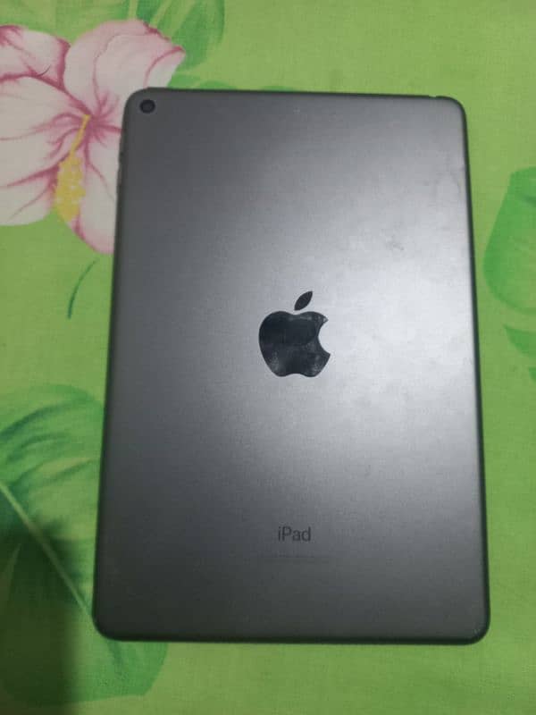 ipad mini 5 0