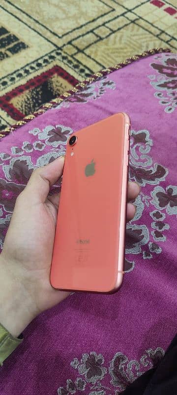 iphone XR 0