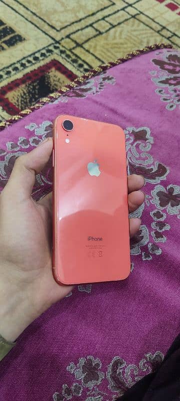 iphone XR 6