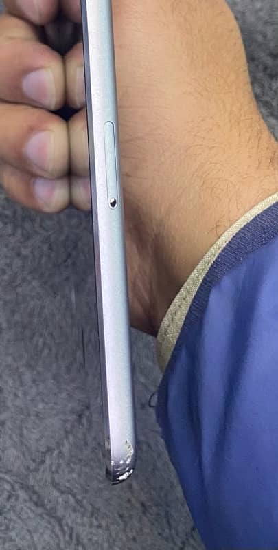 iPad mini 4 16 GB Sim variant 0