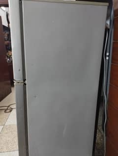 PEL full size fridge