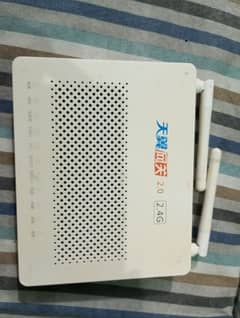 Fiber Router Rs (3900)