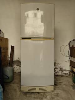 fridge/refrigerator