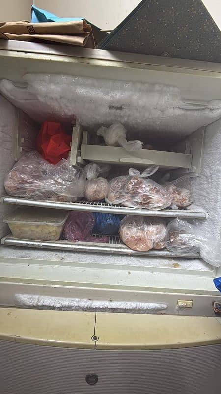 Microwave, Freezer And Fridge In Excellent Condition For Sale 2