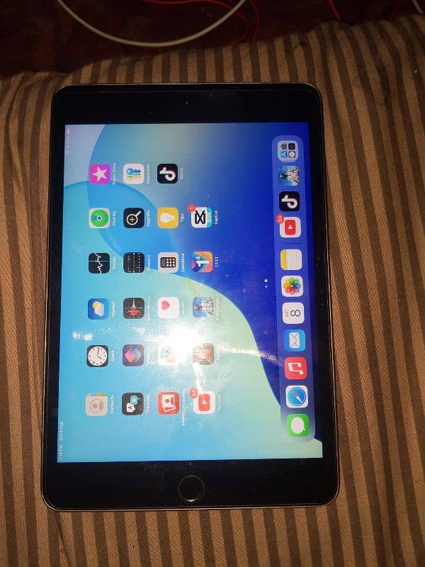 ipad mini 5 0