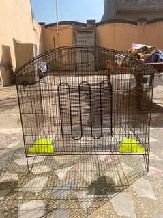 lovebirds cage