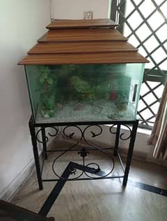 Fish Aquarium for Sale with frame