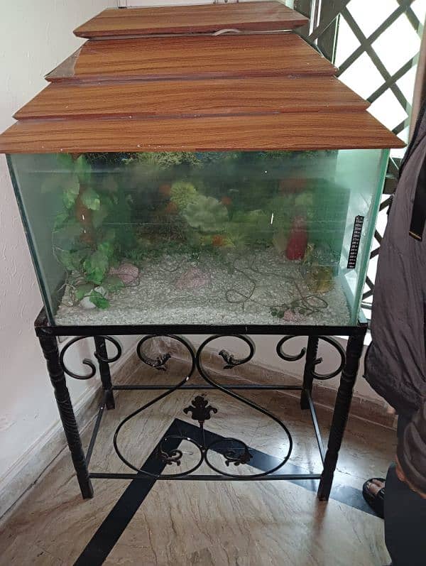 Fish Aquarium for Sale with frame 1