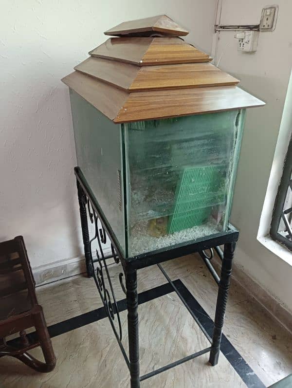 Fish Aquarium for Sale with frame 2