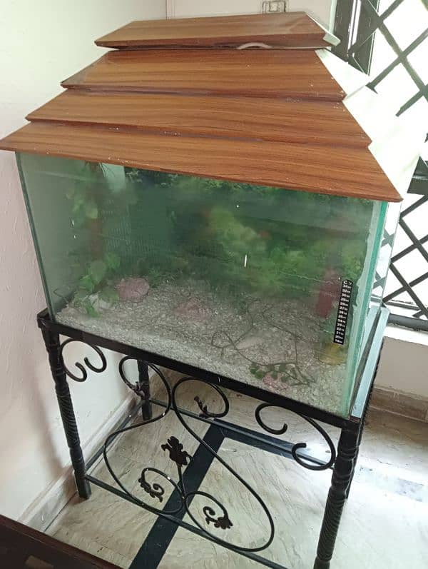 Fish Aquarium for Sale with frame 3