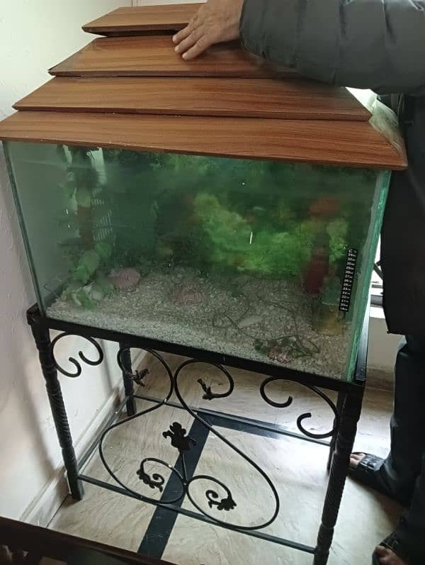 Fish Aquarium for Sale with frame 4