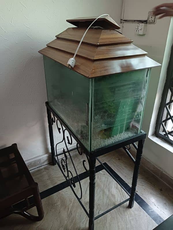 Fish Aquarium for Sale with frame 5