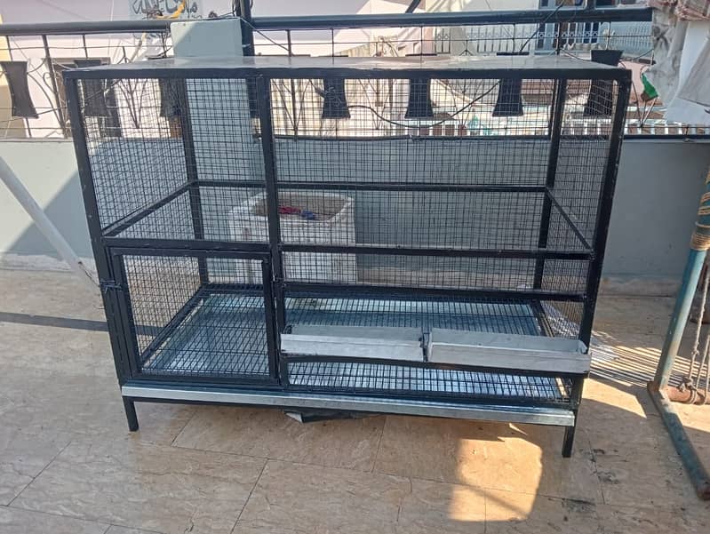 Hen Cage Heavy Duty 6