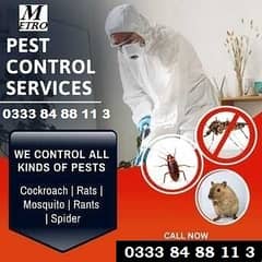 Fumigation Termite Treatment Pest control services