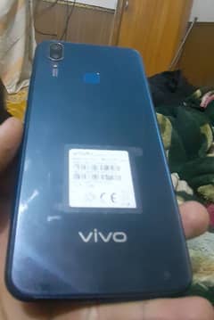 vivo