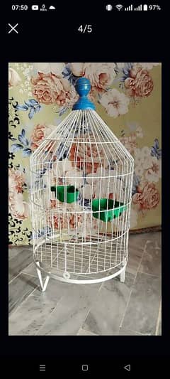 Beautiful birds Cage