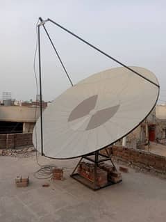 dish