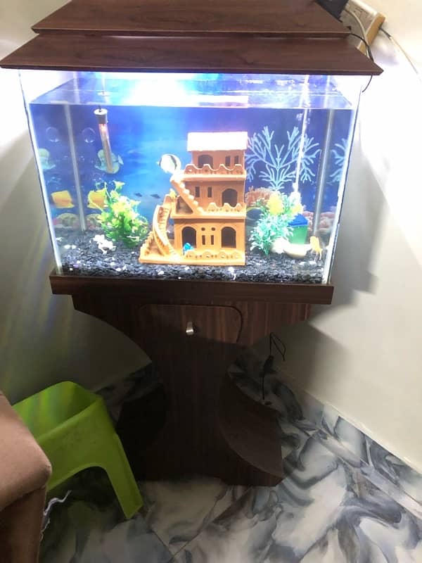 2  feet aquarium 1