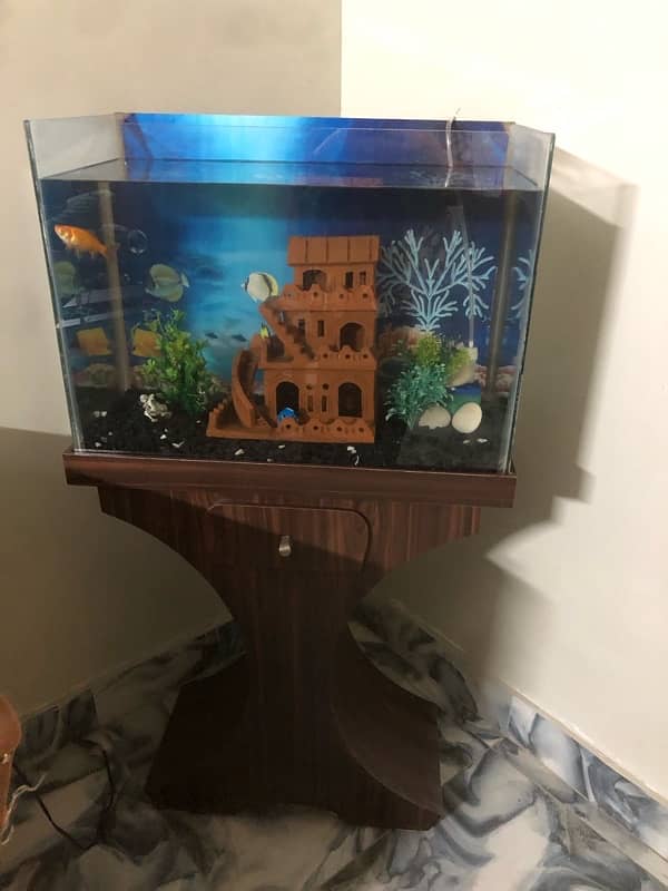 2  feet aquarium 3