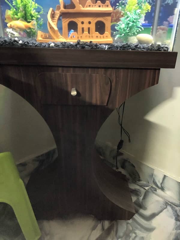 2  feet aquarium 4