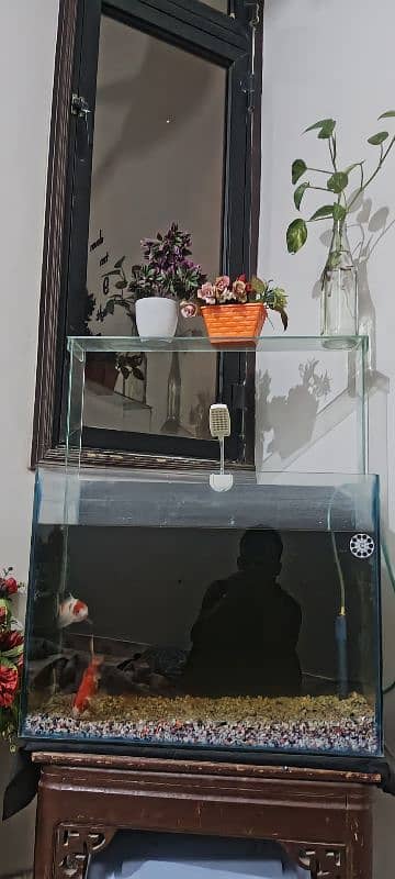 Aquarium for sale. 1