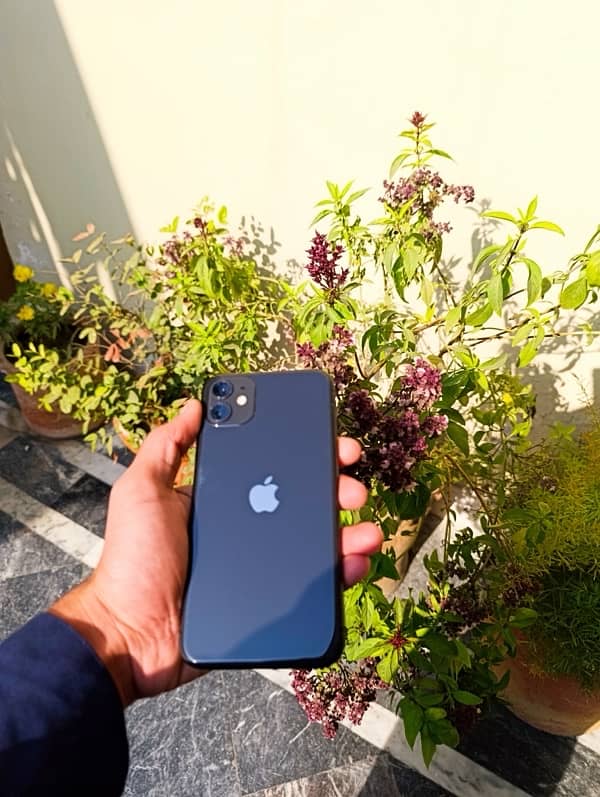 iPhone 11 64 GB JV Black Color 1