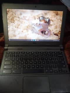 Dell Chromebook