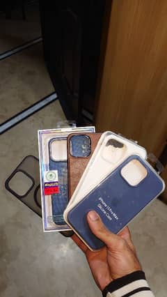 iPhone 15 Pro Max Cases