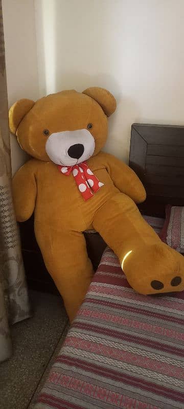 A Giant Teddy Bear for sale of full size 0