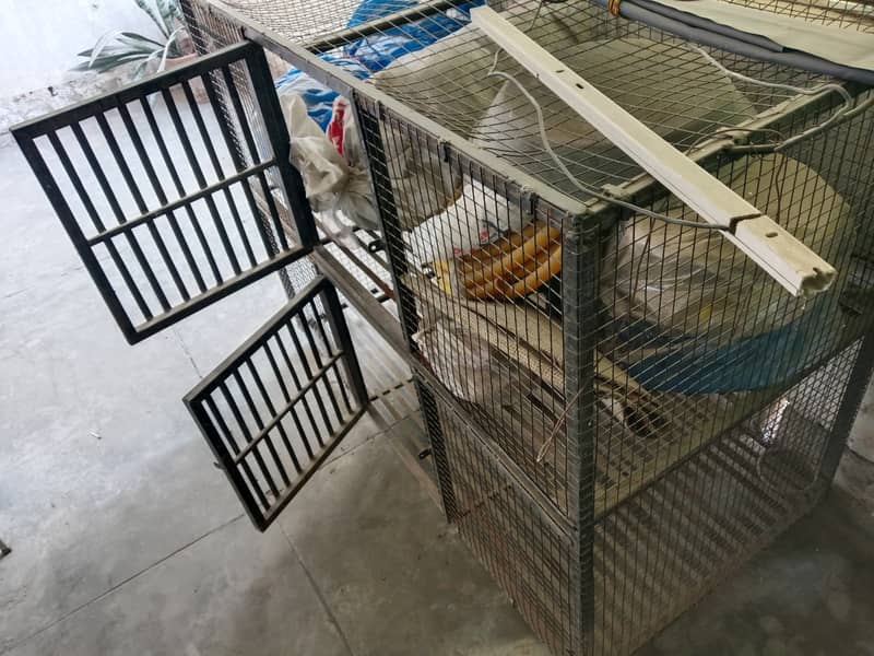 Chickens Cage 2