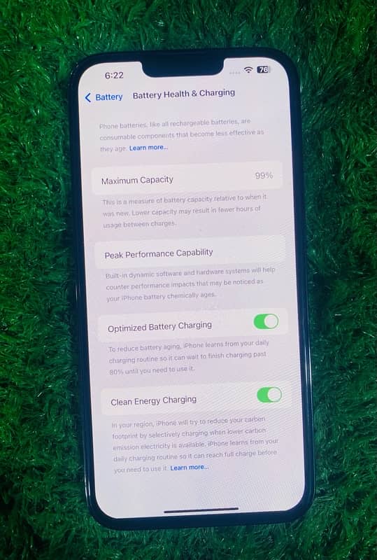 iphone 13 pro max 256 gb. 99 percent battery health.  condition 10/9.8 5