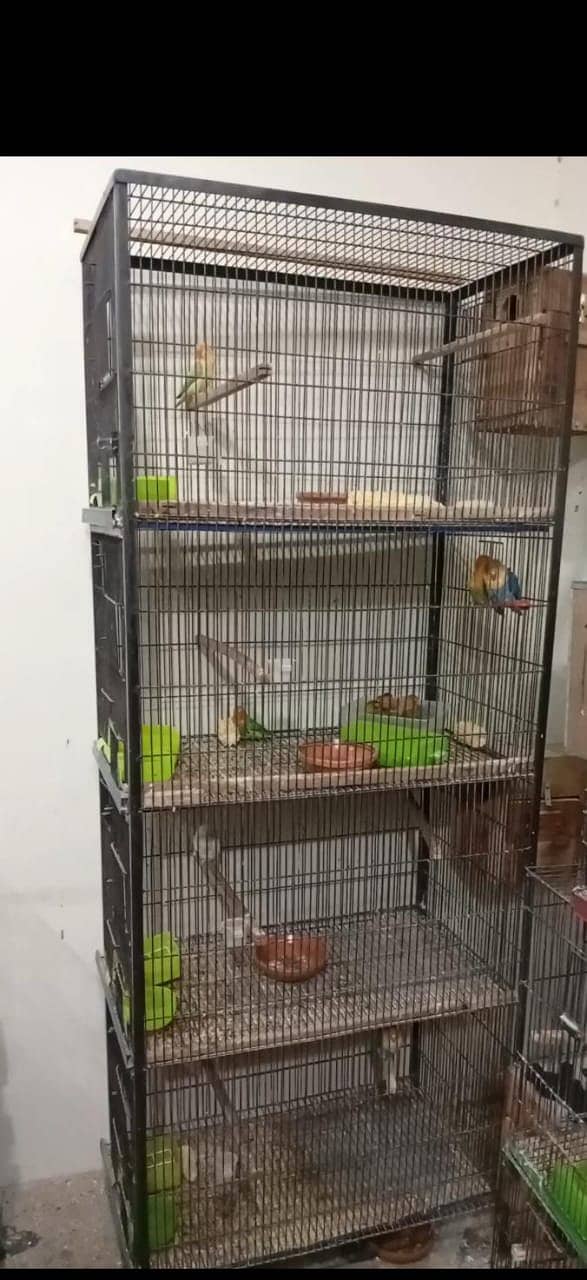 Used 4-portion bird cage /Parrots  cage 0