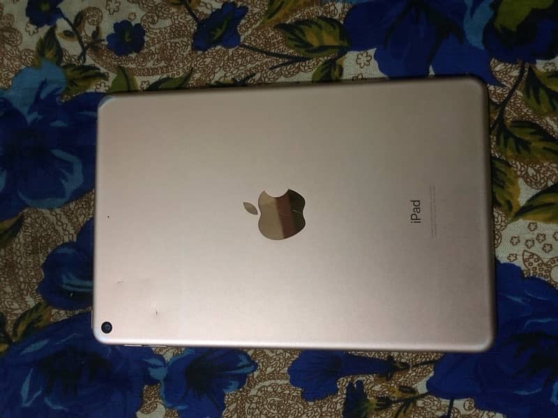 iPad mini 5 with box 64GB 2