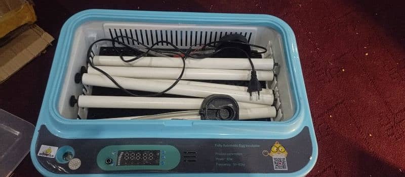 12 volts incubator plastic body full automatic 0