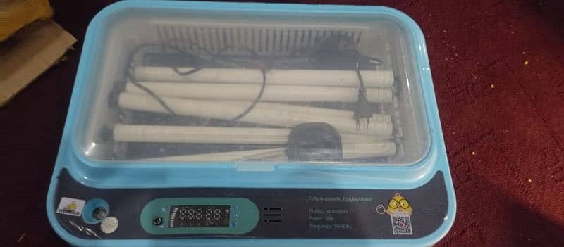 12 volts incubator plastic body full automatic 1