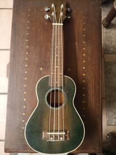 Ukulele (IRIN) dark green with bag with 3 picks