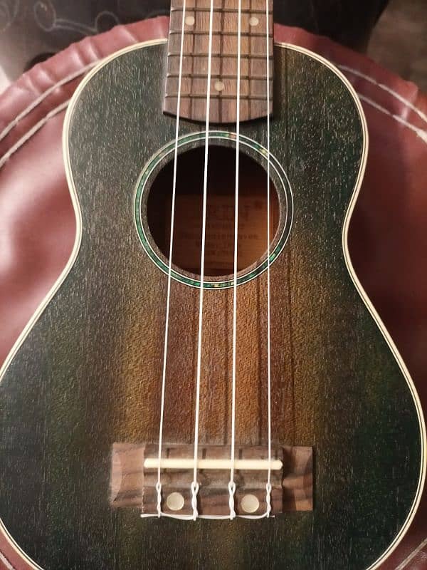 Ukulele (IRIN) dark green with bag with 3 picks 1