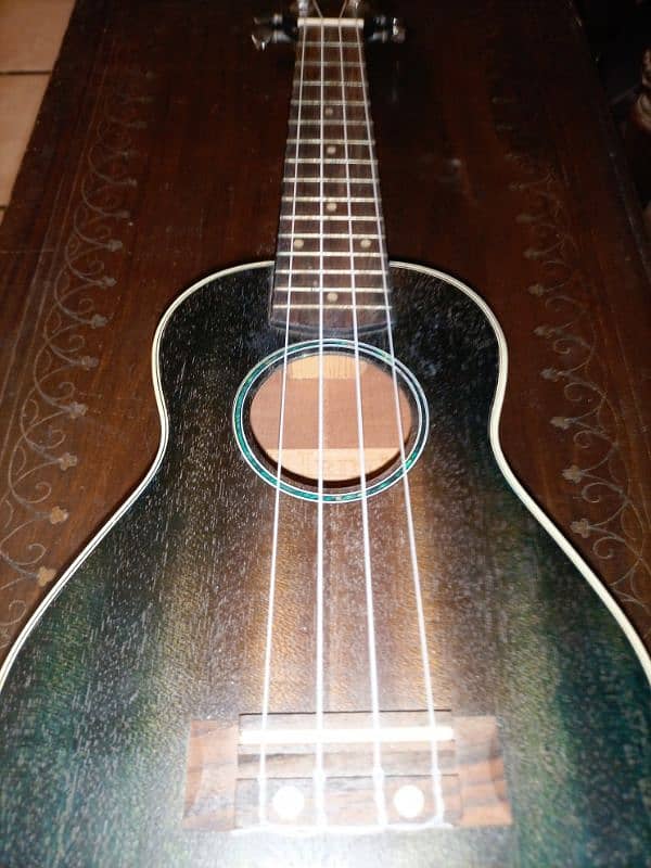 Ukulele (IRIN) dark green with bag with 3 picks 2