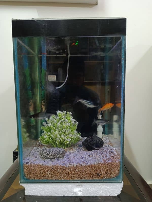 1x2ft Aquarium With Accessories 0