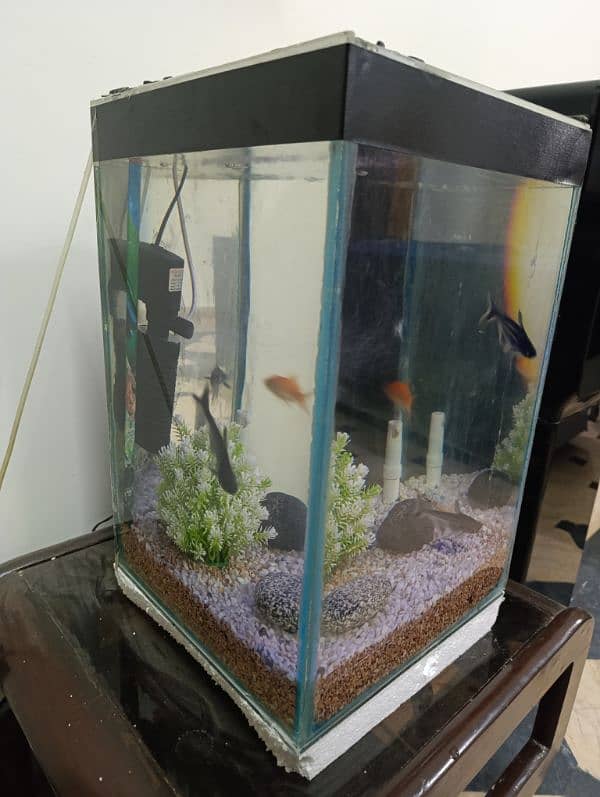 1x2ft Aquarium With Accessories 2