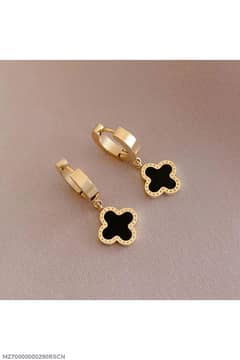 1pair stainless steel earrings